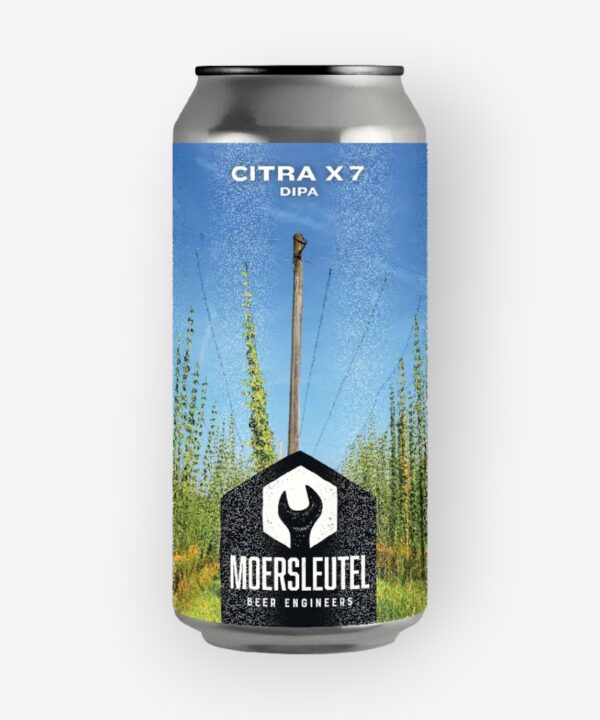 MOERSLEUTEL CITRA X 7