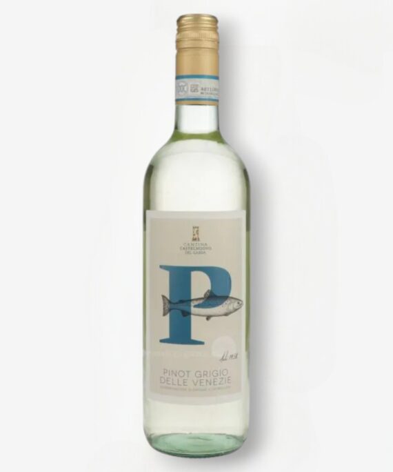 CASTELNUOVO PINOT GRIGIO DELLE VENEZIE