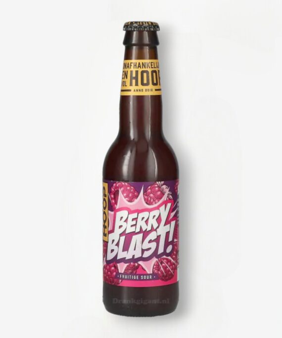 BROUWERIJ HOOP BERRY BLAST 33CL