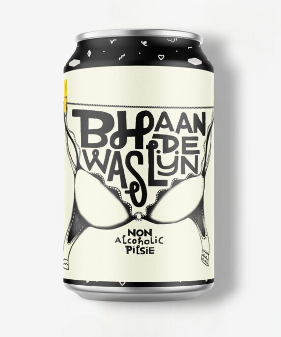 VANDESTREEK BH AAN DE WASLIJN 33CL